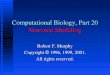 Computational Biology, Part 20 Neuronal Modeling Robert F. Murphy Copyright  1996, 1999, 2001. All rights reserved
