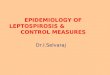EPIDEMIOLOGY OF LEPTOSPIROSIS & CONTROL MEASURES Dr.I.Selvaraj