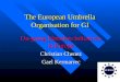 The European Umbrella Organisation for GI On-going Metadata Initiatives in Europe Christian Chenez Gael Kermarrec
