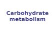 Carbohydrate metabolism. Topics in Metabolism Overview of glucose homeostasis Glucose metabolic pathways and their regulation Glycolysis Citric acid cycle