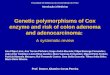 Genetic polymorphisms of Cox enzyme and risk of colon adenoma and adenocarcinoma: A systematic review Introdução à Medicina Faculdade de Medicina da Universidade