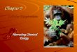 1 Chapter 9 Cellular Respiration: Harvesting Chemical Energy Harvesting Chemical Energy