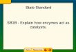 State Standard SB1B - Explain how enzymes act as catalysts