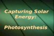 Capturing Solar Energy: Photosynthesis. Photosynthesis  Light energy captured and stored as chemical potential energy in the covalent bonds of carbohydrate