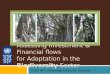 Assessing Investment & Financial flows for Adaptation in the Biodiversity Sector UNDP I&FF Methodology Guidebook: Adaptation