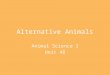 Alternative Animals Animal Science I Unit 48. Objectives Describe the origin, history and general characteristics of bison Describe the characteristics