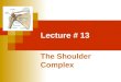 Lecture # 13 The Shoulder Complex. the loose structure of the shoulder complex allows extreme mobility but provides little stability as a result the shoulder
