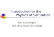 Introduction to the Physics of Saturation Introduction to the Physics of Saturation Yuri Kovchegov The Ohio State University