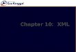 Structure of XML Data  XML Document Schema  Querying and Transformation  Application Program Interfaces to XML  Storage of XML Data  XML Applications