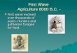 First Wave Agriculture 8000 B.C. -  First wave evolved over thousands of years. Hunters and gatherers foraged for food