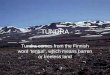TUNDRA Tundra comes from the Finnish word ‘tenturi’, which means barren or treeless land