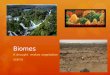Biomes A drought makes vegetation scarce. What is a biome?  Group of ecosystems with similar climates and organisms