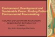 Environment, Development and Sustainable Peace: Finding Paths to Environmental Peacemaking. COLTAN EXPLOITATION IN EASTERN DEMOCRATIC REPUBLIC OF CONGO