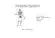 Skeletal System 206 Total Bones Mr. Vazquez Mater Lakes Academy 2011 – 2012 Biology