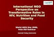 International NGO Perspective on Transformative Roles in HIV, Nutrition and Food Security World AIDS Day 2008, Irish Aid Seminar Connell Foley (Concern)