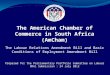 The American Chamber of Commerce in South Africa (AmCham) The Labour Relations Amendment Bill and Basic Conditions of Employment Amendment Bill Prepared