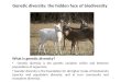 Genetic diversity: the hidden face of biodiversity What is genetic diversity? Genetic diversity is the genetic variation within and between populations