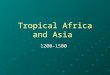 Tropical Africa and Asia 1200–1500. The Tropical Environment The tropical zone falls between the Tropic of Cancer in the north and the Tropic of Capricorn