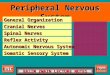 Peripheral Nervous System Cranial Nerves Cranial Nerves Spinal Nerves Spinal Nerves Reflex Activity Reflex Activity Autonomic Nervous System Autonomic