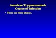 American Trypanosomiasis Course of Infection There are three phases