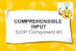 Sheltered Instructional Observation Protocol S.I.O.P. – 8 Components, 30 Features Lesson Preparation Building Background Comprehensible Input Strategies