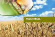 VEGETABLES. REQUIREMENTS 2 ½ -3 cups daily VARY YOUR VEGETABLES! food gallery