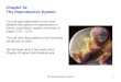 The Reproductive System1 Chapter 52 The Reproductive System You are not responsible for the more detailed descriptions of reproduction in fishes, amphibians,