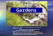 Rain Gardens Credits- All images in this presentation are from the following manual: Rain Gardens- A How-to Manual for Homeowners Your Personal Contribution