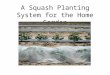 A Squash Planting System for the Home Garden. A 4 feet X 4 feet sheet of black plastic mulch. A 3 liter soft drink bottle to aid in irrigating below the