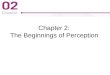 Chapter 2: The Beginnings of Perception. Figure 2-1 p22