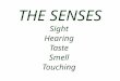 THE SENSES Sight Hearing Taste Smell Touching General Sense Organs widely distributed throughout the body detect stimuli (pain, touch, temperature, pressure);