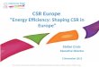CSR Europe “Energy Efficiency: Shaping CSR in Europe” Stefan Crets Executive Director 5 November 2013 This material may not be reprinted or redistributed