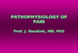 PATHOPHYSIOLOGY OF PAIN Prof. J. Hanáček, MD, PhD