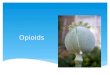 Opioids.  Opium: Dried latex from the opium poppy Papaver Somniferum  Opioid: Natural or synthetic pharmaceutical which has an affinity to the opioid