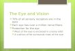 The Eye and Vision  70% of all sensory receptors are in the eyes  Each eye has over a million nerve fibers  Protection for the eye  Most of the eye