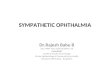 SYMPATHETIC OPHTHALMIA Dr.Rajesh Babu B MS, FMRF, MSc (CEH) DLSHTM, UK Consultant Uveitis & Ocular Immunology Ocular Epidemiology & Community Eye Health