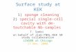 Surface study at KEK 1) sponge cleaning 2) special single-cell cavity with de-toutchable Nb-samples T. Saeki on behalf of Jlab-FNAL-KEK S0 study collaboration