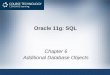 Oracle 11g: SQL Chapter 6 Additional Database Objects