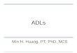 ADLs Min H. Huang, PT, PhD, NCS. Learning Objectives Apply tests and measures for the examination of ADLs for a geriatric client Interpret and analyze