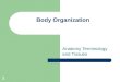 Body Organization Anatomy Terminology and Tissues 1
