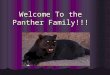 Welcome To the Panther Family!!! To the Panther Family!!!