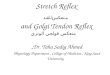 Stretch Reflex منعكس الشد and Golgi Tendon Reflex Dr. Taha Sadig Ahmed, Physiology Department, College of Medicine, King Saud University منعكس قولجي الوتري