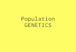 Population GENETICS. Population Genetics Vocab list gene pool allele frequency genetic equilibrium genetic drift gene flow stabilizing selection directional