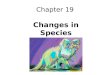 Chapter 19 Changes in Species. Speciation Q: When are two populations new species? A: When populations no longer interbreed they are thought to be separate