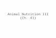 Animal Nutrition III (Ch. 41). Keywords Ruminant digestion Symbiosis –Definition –Algal-invertebrate –Chemoautotroph- invertebrate Hydrothermal vent H