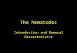 The Nematodes Introduction and General Characteristic