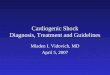 Cardiogenic Shock Diagnosis, Treatment and Guidelines Mladen I. Vidovich, MD April 5, 2007