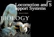 Locomotion and Support Systems Chapter 41. Locomotion and Support Systems 2Outline Diversity of Skeletons  Hydrostatic Skeleton  Exoskeletons  Endoskeletons