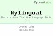 Mylingual There ’ s More Than One Language To Do It Cybozu Labs Kazuho Oku