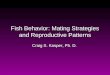 Fish Behavior: Mating Strategies and Reproductive Patterns Craig S. Kasper, Ph. D